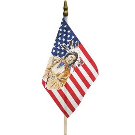 Eagle Emblems F8451 Flag-Usa,Native American (12" x 18")