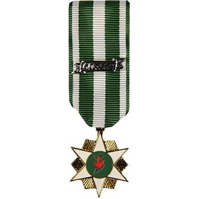 Eagle Emblems M2078 Medal-Viet,Campaign (2-1/4")