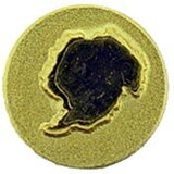 Eagle Emblems M7402 Dev-Antarctica, Svc, Gold (5/16