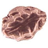 Eagle Emblems M7551 Dev-Oak Leaf, Bronze  (1) (7/32