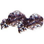 Eagle Emblems M7572 Dev-Oak Leaf,Silver (5/16")