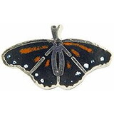 Eagle Emblems P00188 Pin-Butterfly, Monarc (1