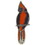 Eagle Emblems P00204 Pin-Bird, Cardinal (1")