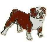 Eagle Emblems P00338 Pin-Dog, Bulldog (1