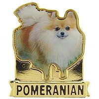 Eagle Emblems P00339 Pin-Dog, Pomeranian (1")