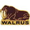 Eagle Emblems P00362 Pin-Walrus (1")