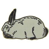 Eagle Emblems P00389 Pin-Rabbit, Californi (1
