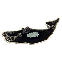 Eagle Emblems P00624 Pin-Fish,Whale,Baleen (1")