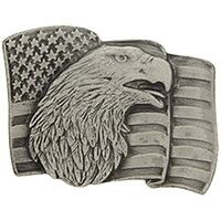 Eagle Emblems P00662 Pin-Usa, Flag, Eagle, Pwt. (1")