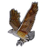 Eagle Emblems P00936 Pin-Eagle, Pew/Brn.Le (1