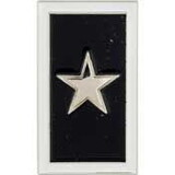 Eagle Emblems P00980 Pin-Wounded Warrior Silver Star (1