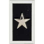 Eagle Emblems P00980 Pin-Wounded Warrior SILVER STAR, (1")