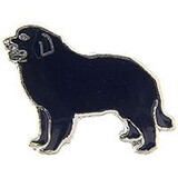 Eagle Emblems P01593 Pin-Dog, New Foundland (1