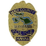 Eagle Emblems P02867 Pin-Pol, Bdg, Hi, Maui (1