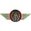 Eagle Emblems P05946 Pin-Car, Austin Healy, Logo (1")