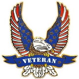Eagle Emblems P06853 Pin-Usa,Veteran Eagle (1-1/4