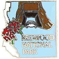 Eagle Emblems P09064 Pin-Nat.Park, Redwood (1")