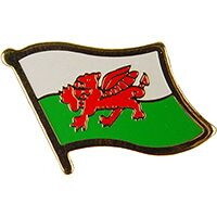 Eagle Emblems P09620 Pin-Wales (FLAG), (1-1/16")