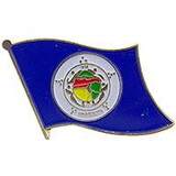 Eagle Emblems P09924 Pin-Minnesota (Flag) (1