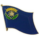 Eagle Emblems P09929 Pin-Nevada (Flag) (1