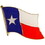 Eagle Emblems P09944 Pin-Texas (Flag) (1")