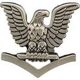 Eagle Emblems P10150 Pin-Usn, Petty Off.3Cl, Rt (7/8