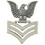Eagle Emblems P10154 Pin-Usn,Petty Off.1Cl,Rt (7/8"x1-1/8")