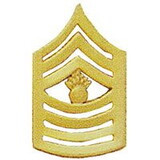 Eagle Emblems P10231 Rank-Usmc, E9, Mast.Gun.Sgt (Gld) (1-1/2
