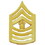 Eagle Emblems P10231 Rank-Usmc,E9,Mast.Gun.Sgt (GLD), (7/8" Wide)