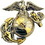 Eagle Emblems P10244 Pin-Usmc, Emblem, B2, Left Collar-Gold/Silver (1")