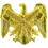 Eagle Emblems P10483 Pin-Army, National Guard, Emblem (3/4")
