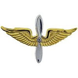 Eagle Emblems P10485 Wing-Army, Aviation (Mini)(Gld) (1-1/4