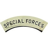 Eagle Emblems P12006 Pin-Spec, Forces, Tab (Blk/Slv) (1-9/16