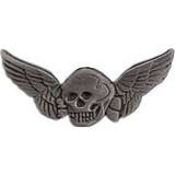 Eagle Emblems P12013 Wing-Death, Skull, Mini, Pwt (1-1/4