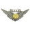 Eagle Emblems P12025 Wing-Usn, Combat Aircrew (Mini) (1-1/16")