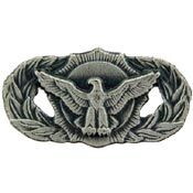 Eagle Emblems P12107 Wing-Usaf, Sec.Police, Bas. (Mini)Pwt (7/8")