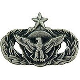 Eagle Emblems P12108 Wing-Usaf,Sec.Police,Senior (MINI) PWT, (1-1/16