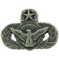 Eagle Emblems P12109 Wing-Usaf, Sec.Police, Mast (Mini)Pwt (7/8")