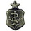 Eagle Emblems P12111 Pin-Usaf, Nurse, Sen. (1")