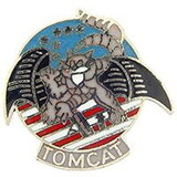Eagle Emblems P12401 Pin-Usn,Tomcat,W/Wings (1