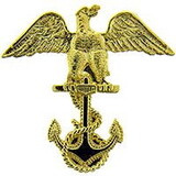 Eagle Emblems P12494 Pin-Usn, Cadet Eagle (1-1/16