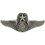 Eagle Emblems P12641 Wing-Usaf, Aircrew, Master (Mini) (1-1/4")