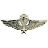 Eagle Emblems P12655 Wing-Viet, Para/Jump, Basic (Mini) (1-3/8