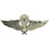 Eagle Emblems P12655 Wing-Viet, Para/Jump, Basic (Mini) (1-3/8")