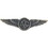 Eagle Emblems P12717 Wing-Usn, Aircrew, Pwt (Mini) (1-1/2")