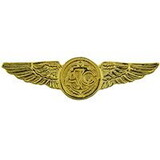 Eagle Emblems P12718 Wing-Usn, Aircrew, Gold (Mini) (1-1/2