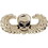 Eagle Emblems P12769 Wing-Skull,Para (1-3/8")