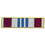 Eagle Emblems P14019 Pin-Ribb,Def.Merit.Servic (11/16")