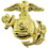 Eagle Emblems P14153 Pin-Usmc,Emblem,B1, Right COLLAR-GOLD, (1")