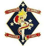 Eagle Emblems P14196 Pin-Usmc,001St Bn 4Th Mar Whatever it takes, (1-1/8